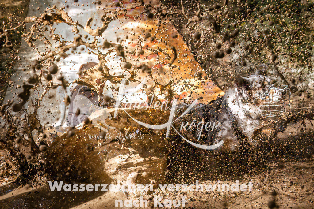 1350_ZZ92912 | kk-dogfotos