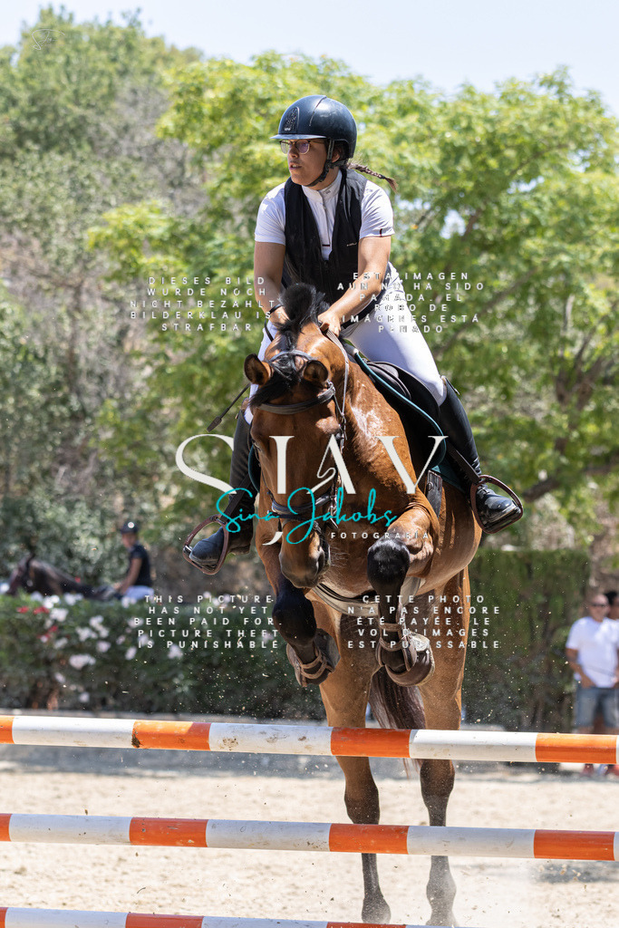 IMG_6845 | s-jay-photography - Realisiert mit Pictrs.com