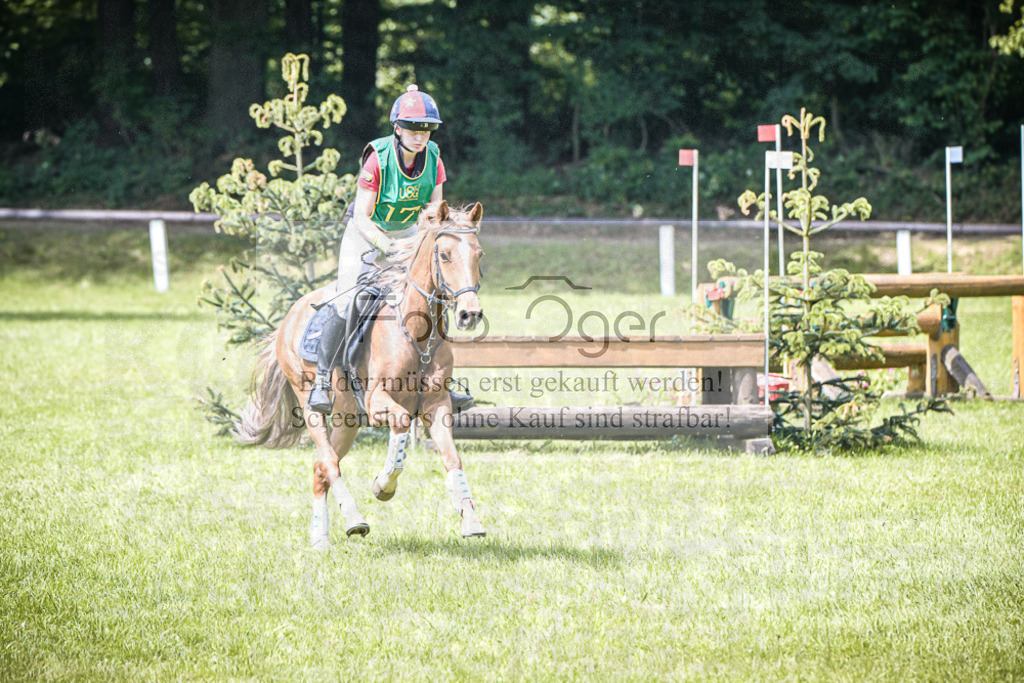 DOS_8053 | Entdecke hochwertige Reitturnierfotos von Foto Oger. Professionell, emotional und authentisch – jetzt Lieblingsmomente im Shop bestellen. - Realisiert mit Pictrs.com