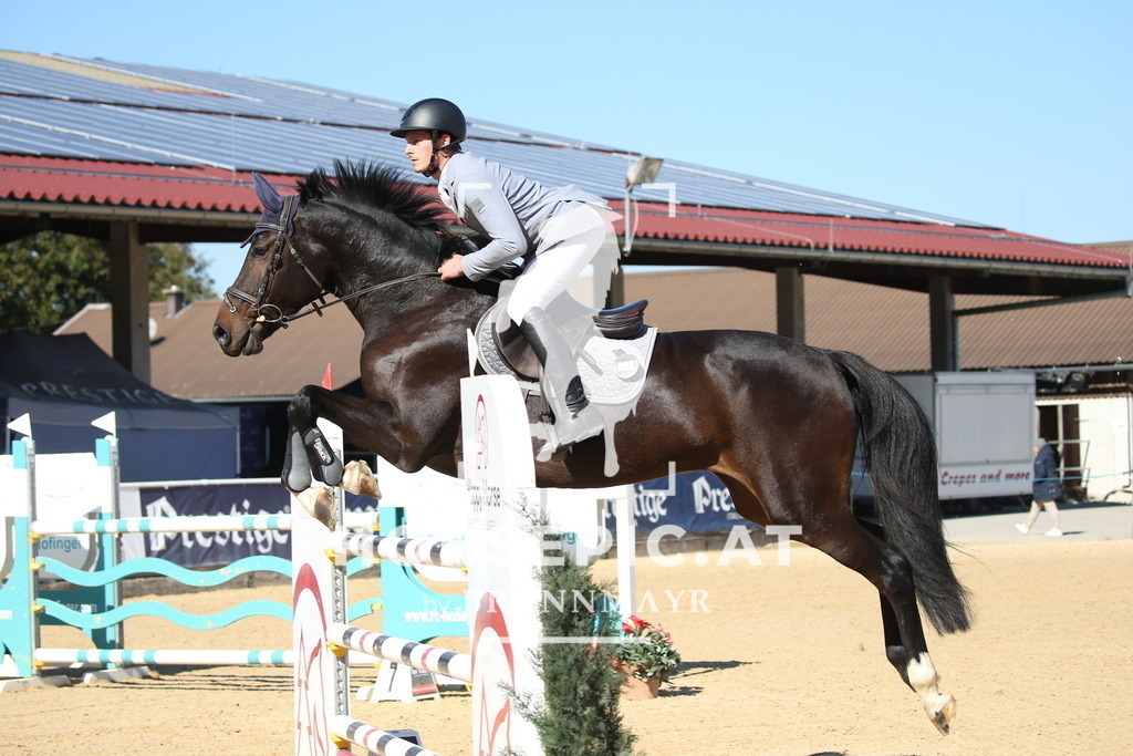 DL2Q2829 | Willkommen bei Brunnmayr - Design & Fotografie – Ihrem Spezialisten für Reitturniere und Pferdeveranstaltungen in Oberösterreich, Salzburg und Bayern! Seit über 17 Jahren sind wir leidenschaftlich dabei.