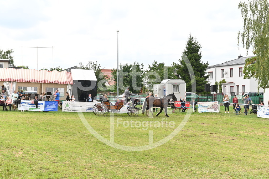 DSC_3566 | sattelsport - Realisiert mit Pictrs.com