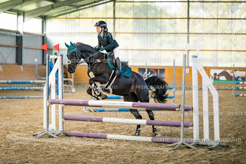 DSC00510 | Pferdegrafie