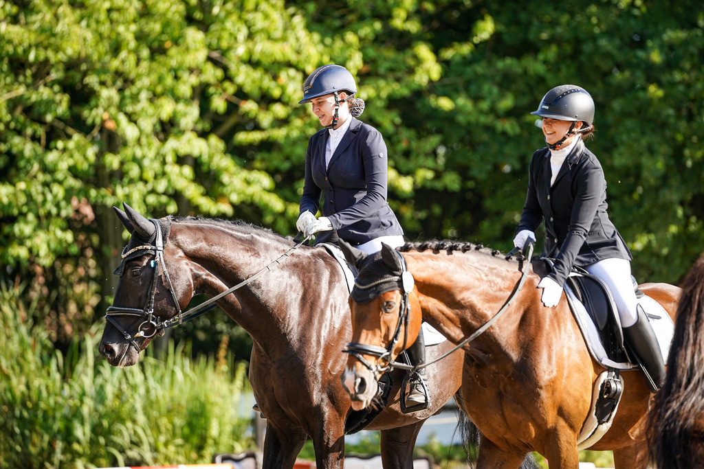 DSC09616 | Pferdegrafie