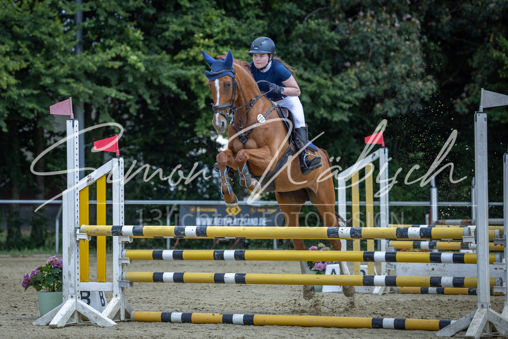 20260704-_3LI9957 | Tierfotografie Pferde, Hunde, Katzen, Haustiere.
Turnierfotografie Reitturniere, Reiten, Springreiten, Dressur in Hanau, dem Main-Kinzig-Kreis und dem Rhein-Main- Gebiet um Frankfurt