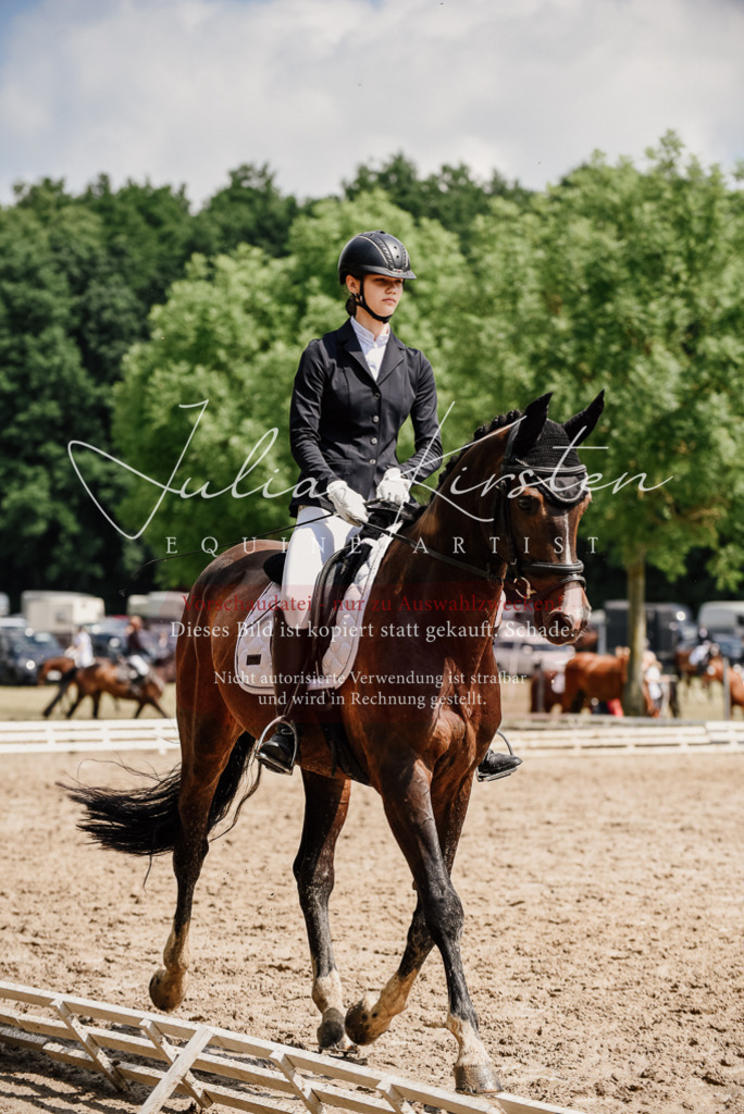 DSC_0808 | Pferde- und Turnierfotografie in Westsachsen. Pferdeportraits, Auftragszeichnungen und intuitive Kunst.