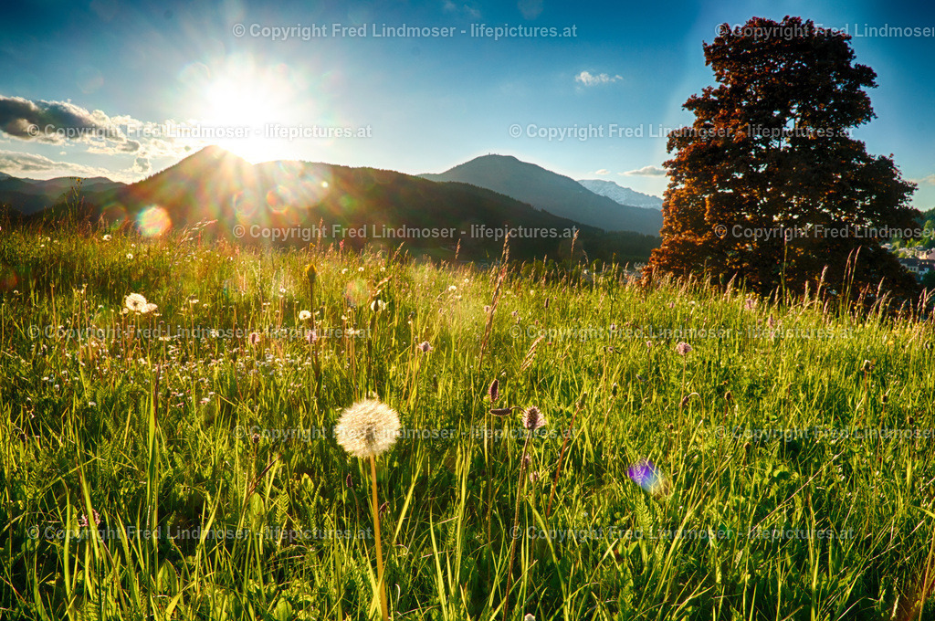DSC00703_HDR | Fotos und Fotoprodukte - Realisiert mit Pictrs.com