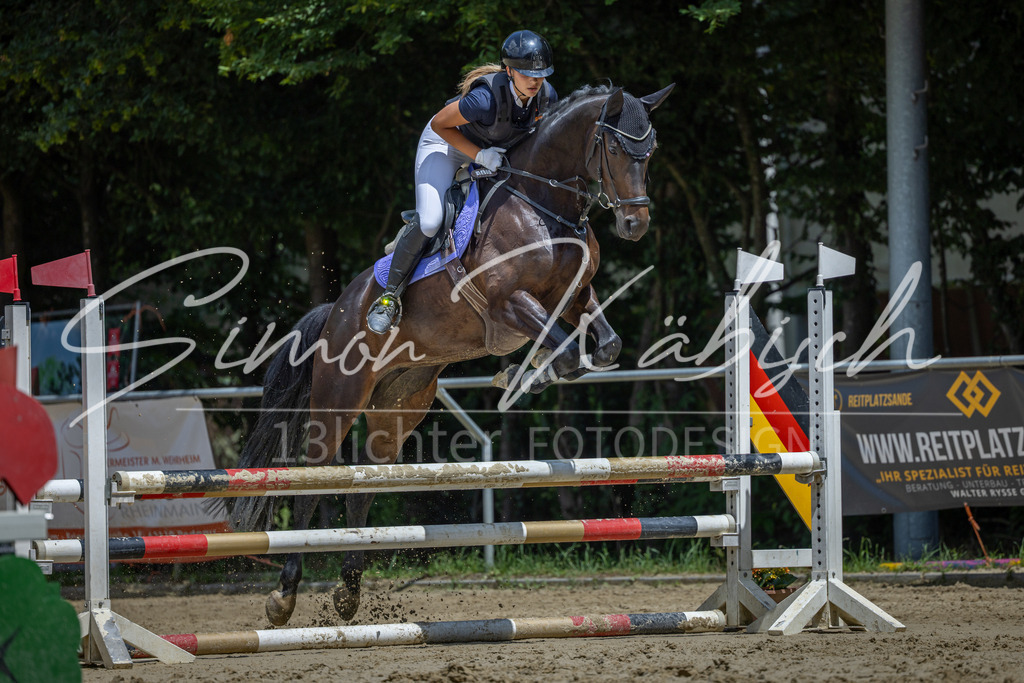 20260704-_3LI8614 | Tierfotografie Pferde, Hunde, Katzen, Haustiere.
Turnierfotografie Reitturniere, Reiten, Springreiten, Dressur in Hanau, dem Main-Kinzig-Kreis und dem Rhein-Main- Gebiet um Frankfurt