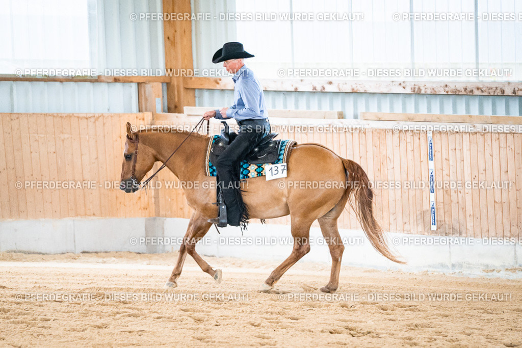 DSC01817 | Pferdegrafie