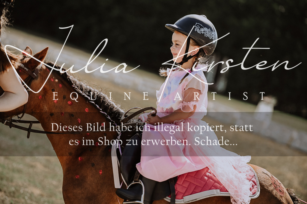 DSC_9060 | Pferde- und Turnierfotografie in Westsachsen. Pferdeportraits, Auftragszeichnungen und intuitive Kunst.