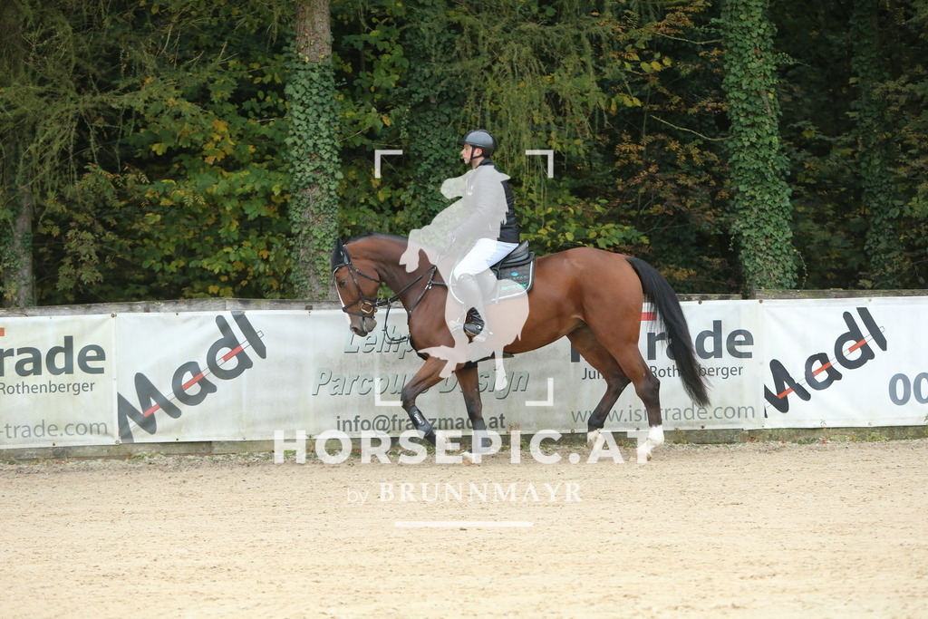 DL2Q4107 | Willkommen bei Brunnmayr - Design & Fotografie – Ihrem Spezialisten für Reitturniere und Pferdeveranstaltungen in Oberösterreich, Salzburg und Bayern! Seit über 17 Jahren sind wir leidenschaftlich dabei.