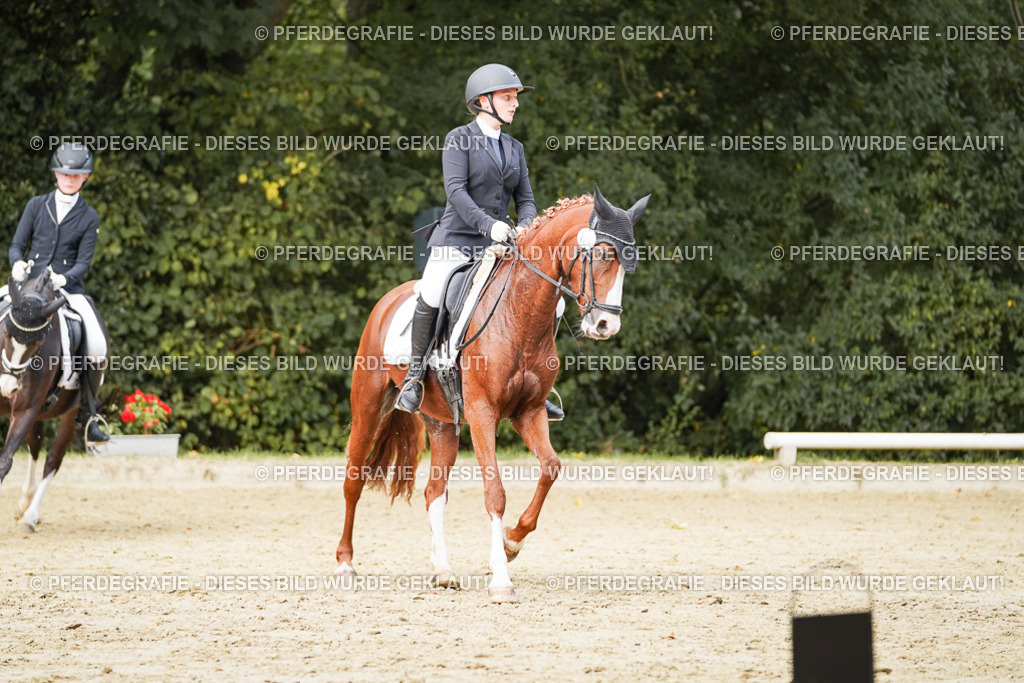 DSC03792 | Pferdegrafie