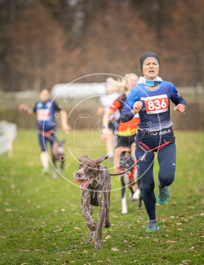 CaniXpix_DV3A6300 | Hundefotografie, Tierfotograf, Pfotenfotografie, Fotoshooting Hund, Hunde Portrait, Hundesport, Hundeportraits, Heideshooting, Hunde, Sportfotograf, Hundefotograf, Turnierhundsport, THS,  - Realisiert mit Pictrs.com