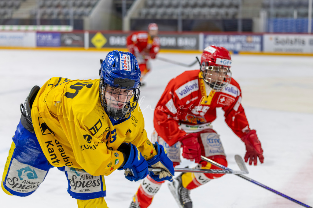 EHCB vs HCD 20262703-405521920 | Sportbilder, Sportfotograf, Hochzeits- und Eventfotografin, Flugshows, Portraits und Tiershooting, Aviation, Downhill, Nationalleague, Swissleague, International