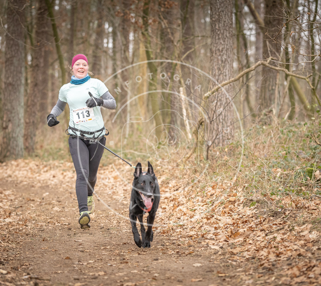Pfotenfotografie_DV3A7724 | Hundefotografie, Tierfotograf, Pfotenfotografie, Fotoshooting Hund, Hunde Portrait, Hundesport, Hundeportraits, Heideshooting, Hunde, Sportfotograf, Hundefotograf, Turnierhundsport, THS,  - Realisiert mit Pictrs.com