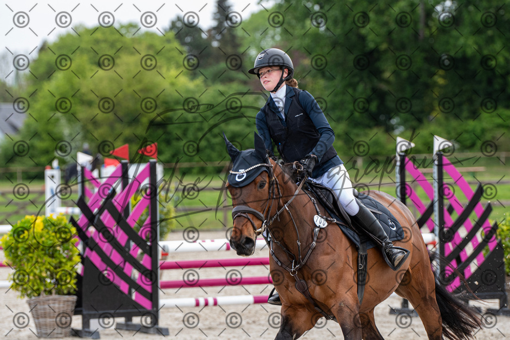 KPT_7694 | andre_photographic