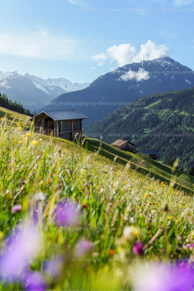 Frühling Möser Tux copyright  Thomas Pfister-1 | PHOTOGRAPHY BY THOMAS PFISTER