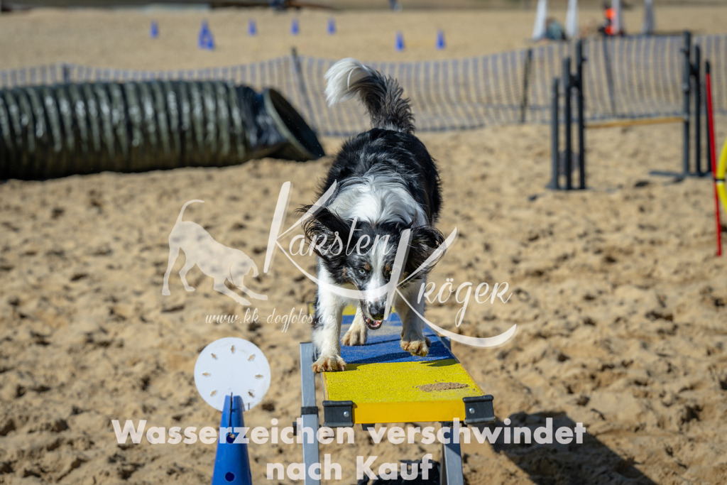 1301_ZZ94028-2 | kk-dogfotos