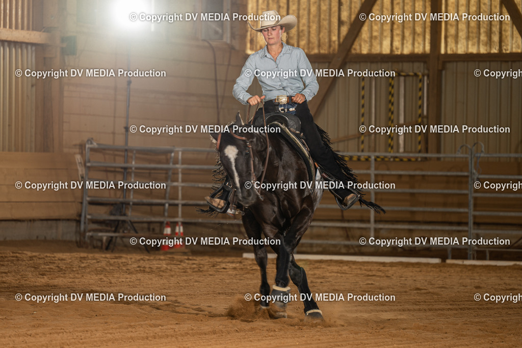 NID02193 | dv-media-shop - Realisiert mit Pictrs.com