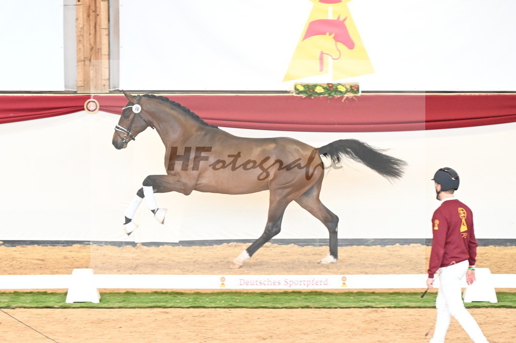 Kat.-Nr. 78 v. Valdiviani_Schulze Averdiek_2240899 | hf-fotografie - Realisiert mit Pictrs.com