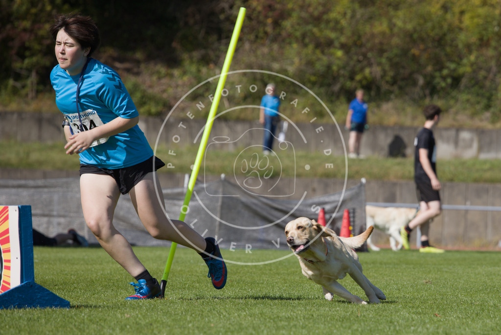 0L8A7621 | Hundefotografie, Tierfotograf, Pfotenfotografie, Fotoshooting Hund, Hunde Portrait, Hundesport, Hundeportraits, Heideshooting, Hunde, Sportfotograf, Hundefotograf, Turnierhundsport, THS,  - Realisiert mit Pictrs.com