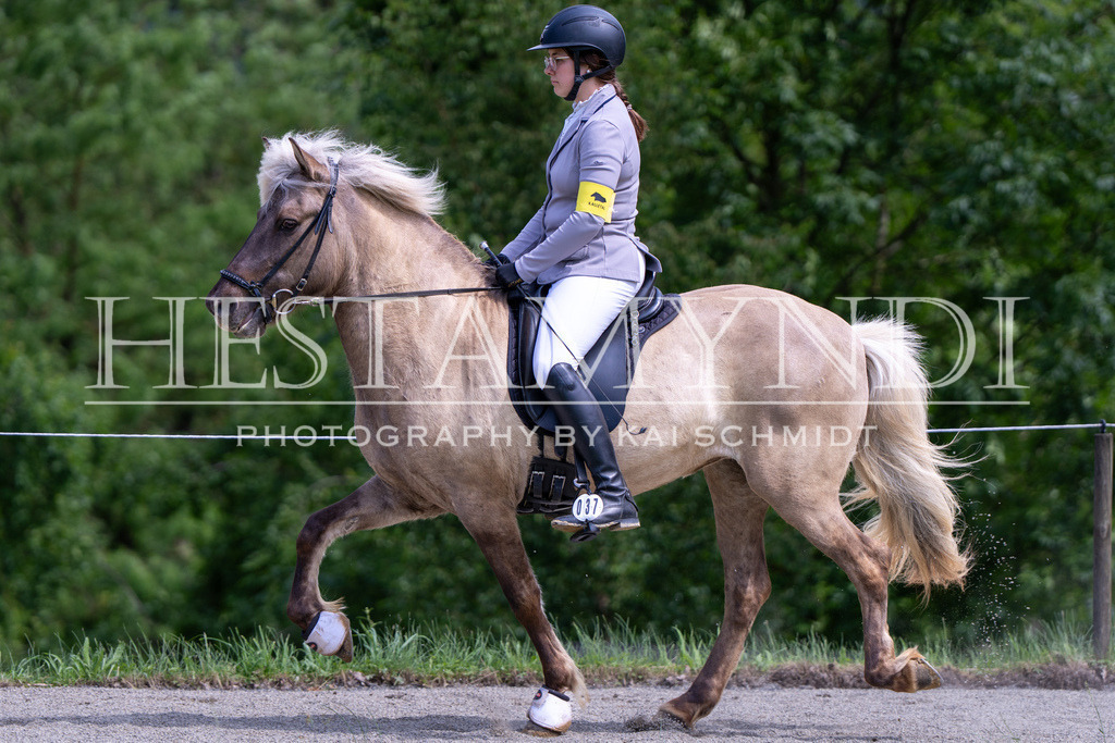 KAI02243 | Ihr sucht einen Fotografen für eure nächste OSI? Ich begleite auch euer Turnier für Islandpferde fotografisch.  - Realisiert mit Pictrs.com