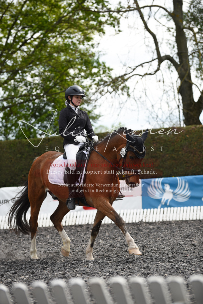 20230513_JK-Röhrsdorf-16-202 | Pferde- und Turnierfotografie in Westsachsen. Pferdeportraits, Auftragszeichnungen und intuitive Kunst.