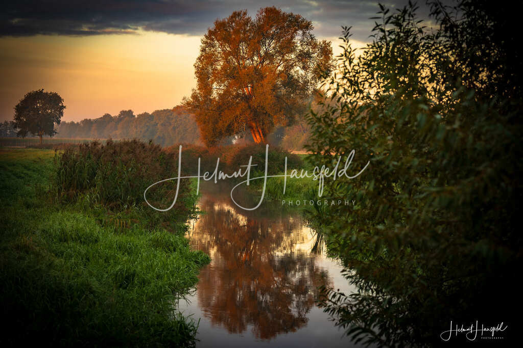 DSC00465 | Landschaftsfotografie, Naturfotografie - Realisiert mit Pictrs.com