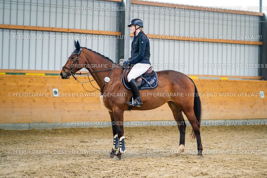 DSC00550 | Pferdegrafie