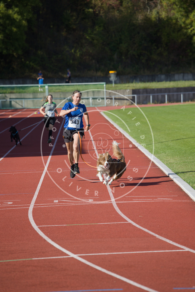 0L8A9257 | Hundefotografie, Tierfotograf, Pfotenfotografie, Fotoshooting Hund, Hunde Portrait, Hundesport, Hundeportraits, Heideshooting, Hunde, Sportfotograf, Hundefotograf, Turnierhundsport, THS,  - Realisiert mit Pictrs.com
