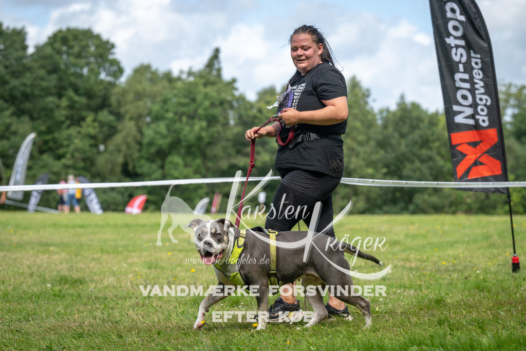 1214_ZZ93800 | kk-dogfotos