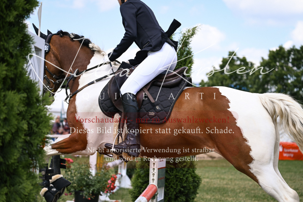 DSC_9343 | Pferde- und Turnierfotografie in Westsachsen. Pferdeportraits, Auftragszeichnungen und intuitive Kunst.
