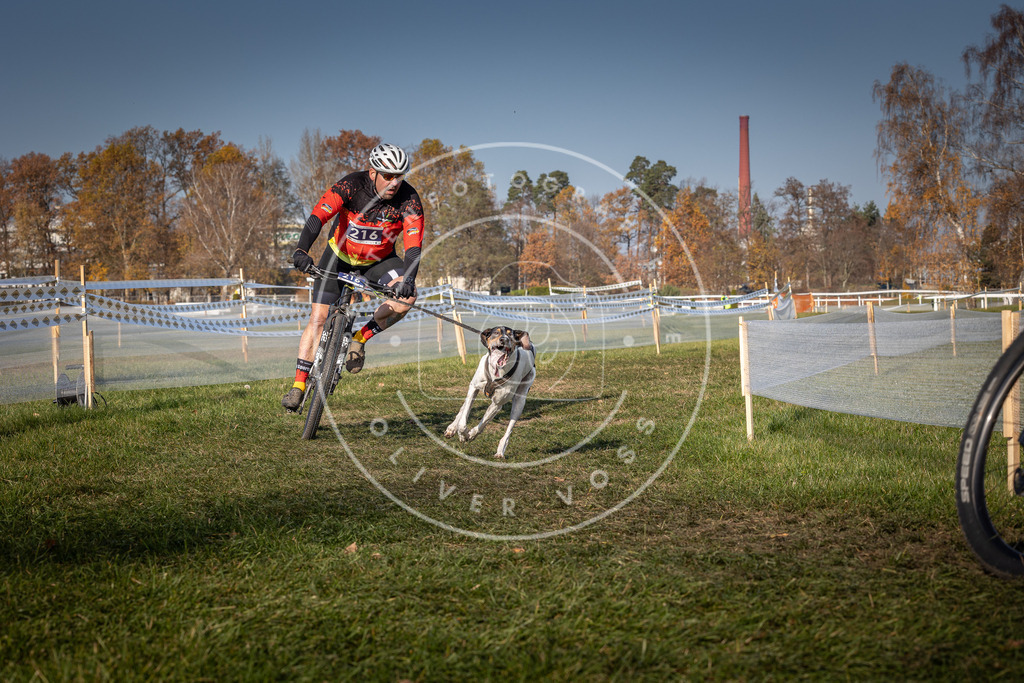 CaniXpix_0L8A6912 | Hundefotografie, Tierfotograf, Pfotenfotografie, Fotoshooting Hund, Hunde Portrait, Hundesport, Hundeportraits, Heideshooting, Hunde, Sportfotograf, Hundefotograf, Turnierhundsport, THS,  - Realisiert mit Pictrs.com