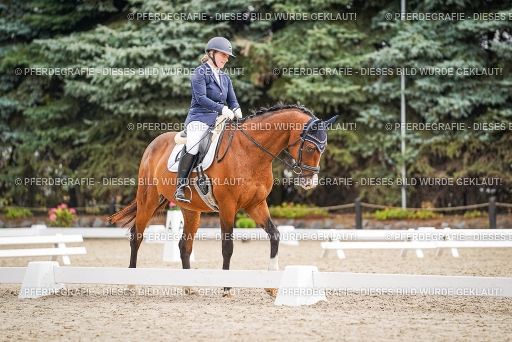 DSC02275 | Pferdegrafie