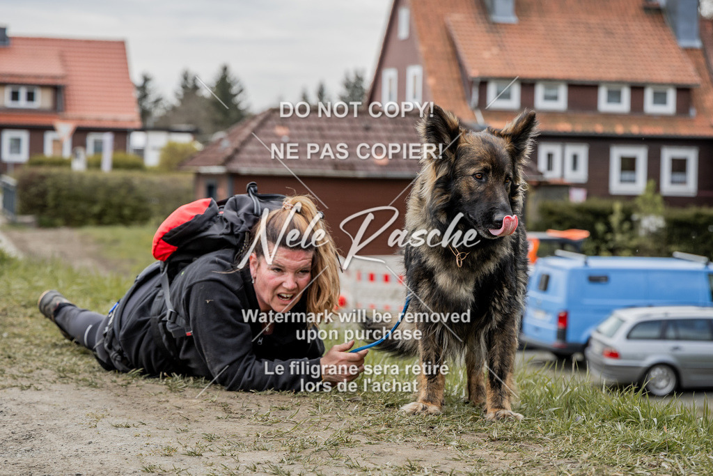 NR__2589 | nelerasche