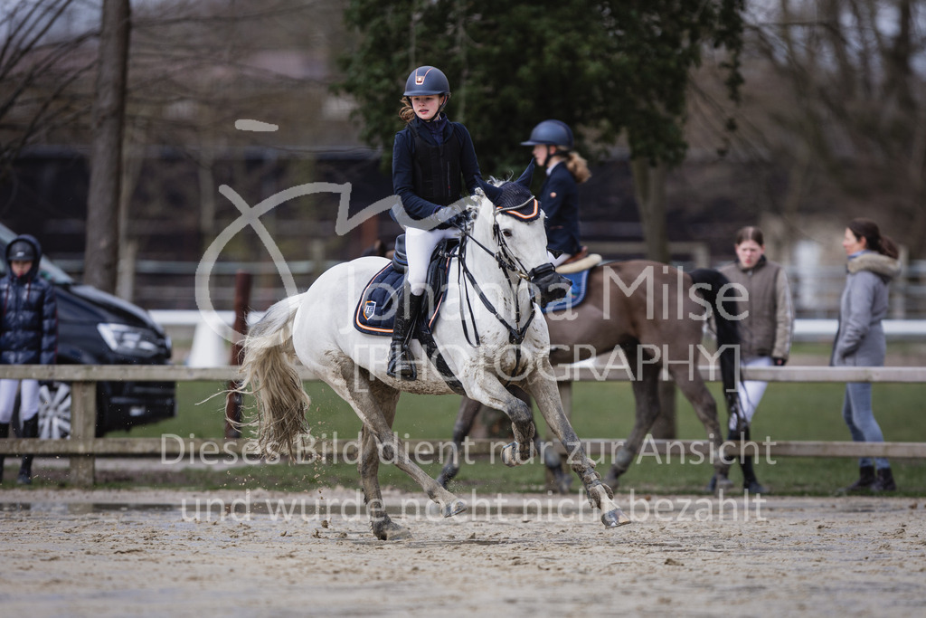 230402_MünsterHandorf_PonyTrophy-374 | Deine schönsten Turniermomente als professionelle Fotos! Entdecke hochwertige Pferdesport-Fotografie im Online-Shop. Jetzt Fotos finden & bestellen!
