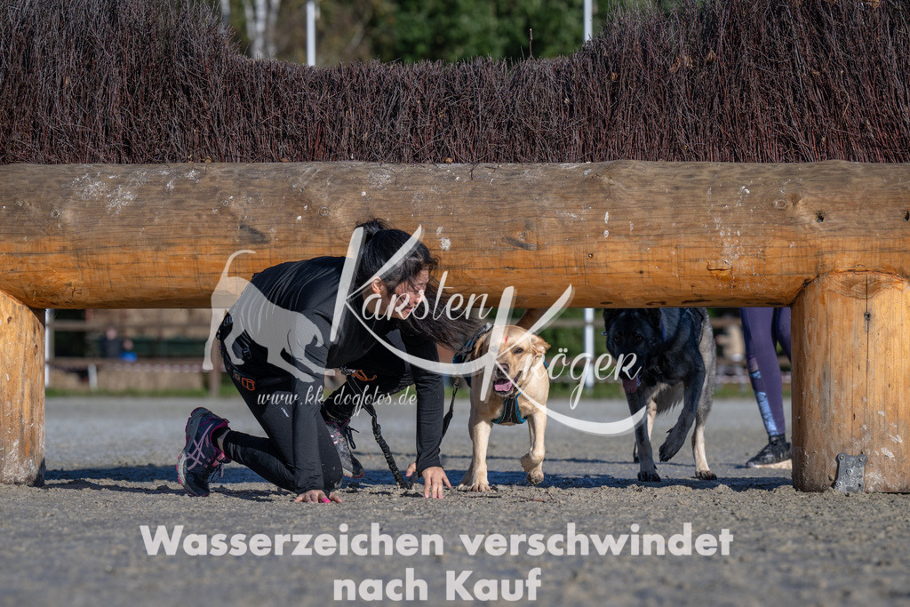 1048-_ZZ92734 | kk-dogfotos