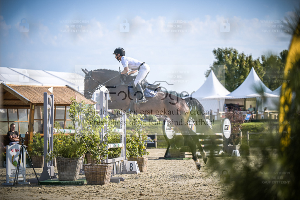 DOS_0606 | Entdecke hochwertige Reitturnierfotos von Foto Oger. Professionell, emotional und authentisch – jetzt Lieblingsmomente im Shop bestellen. - Realisiert mit Pictrs.com