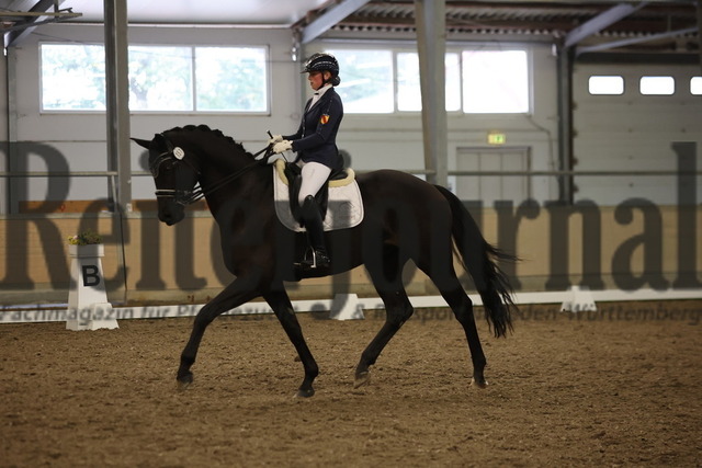 Waghäusel-Wiesental_2024_Prfg.Nr.08_1.WP_U25_Laura Baisch_Despino 26 (6) | Alle Fotos der Reiterjournal Fotografin Doris Matthaes im Reiterjournal Online-Fotoshop. - Realisiert mit Pictrs.com