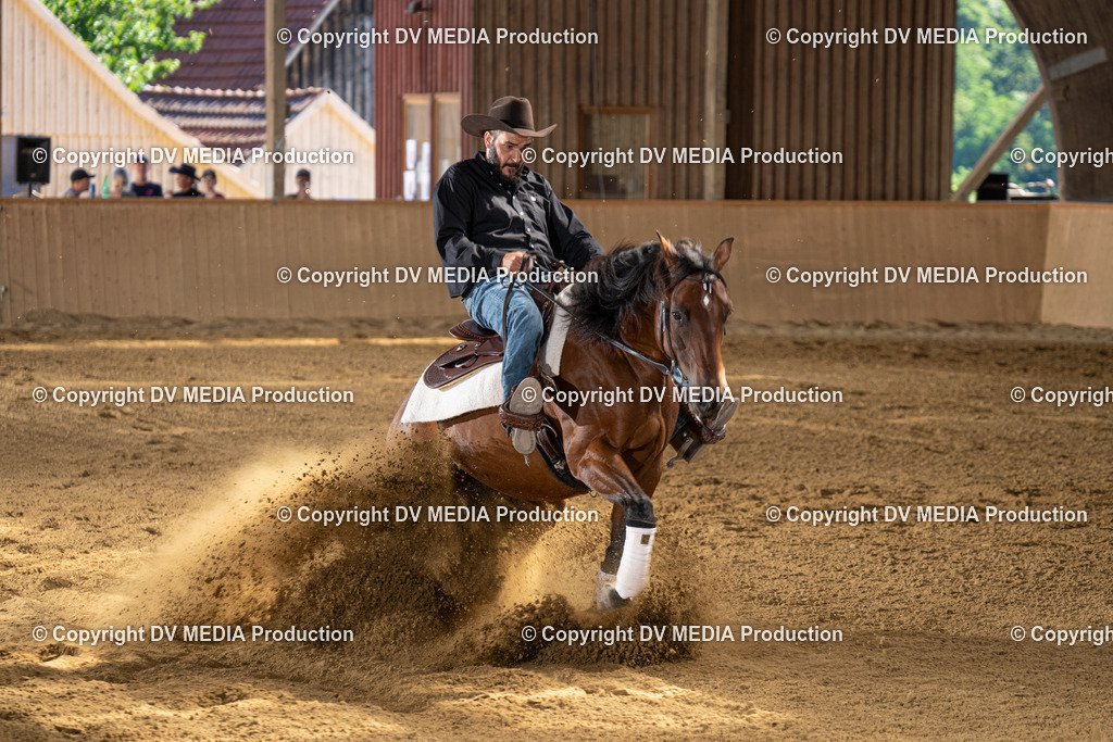 DSC00141 | dv-media-shop - Realisiert mit Pictrs.com