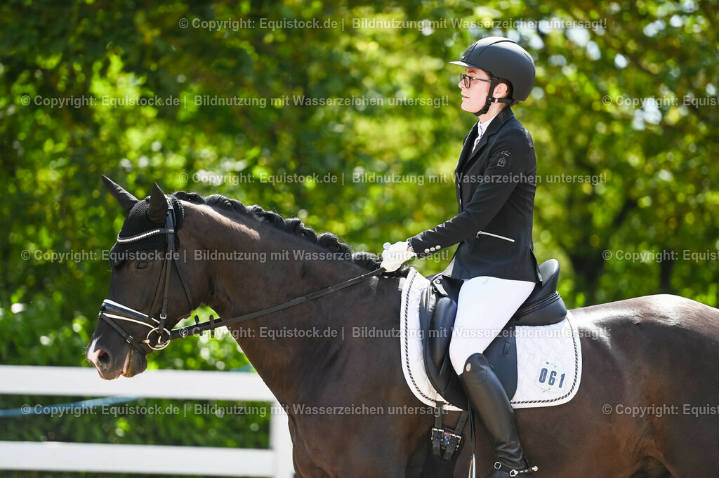 20230715_07_Dressurpferdeprfg. Kl.L_0186 | equistock