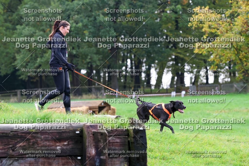 Dog Paparazzi -  SD1026-2189 | Dog Paparazzi Jeanette Grottendiek Fotografie & Videografie - Realisiert mit Pictrs.com
