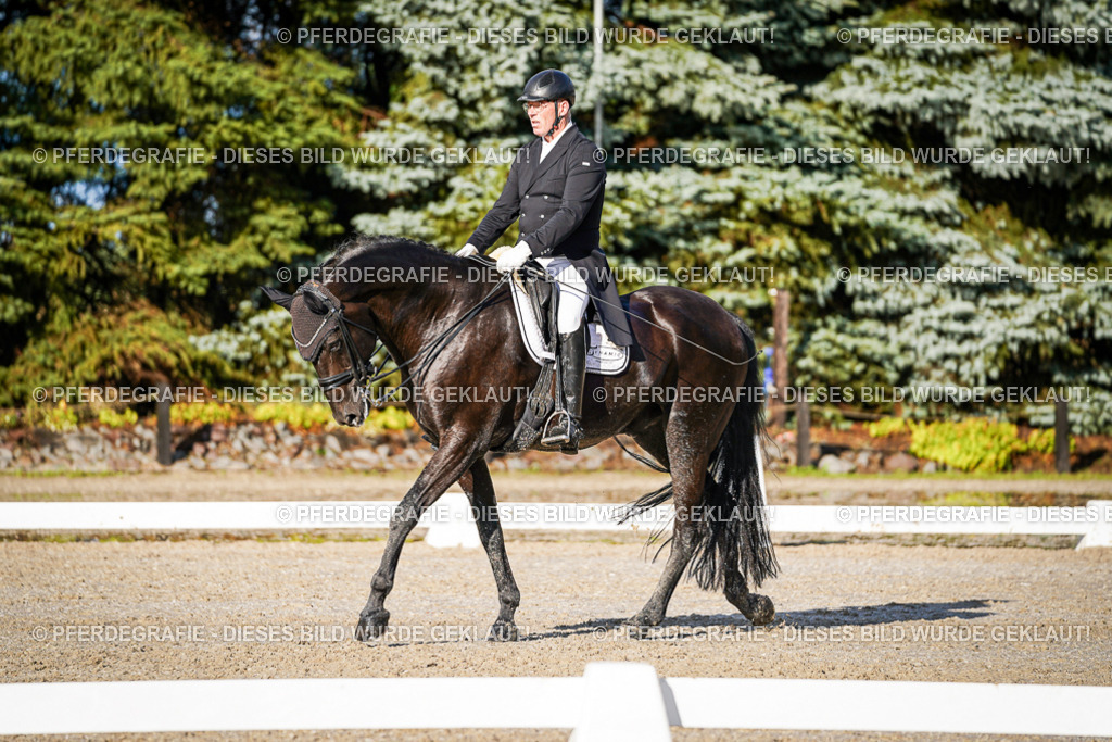 DSC00757 | Pferdegrafie