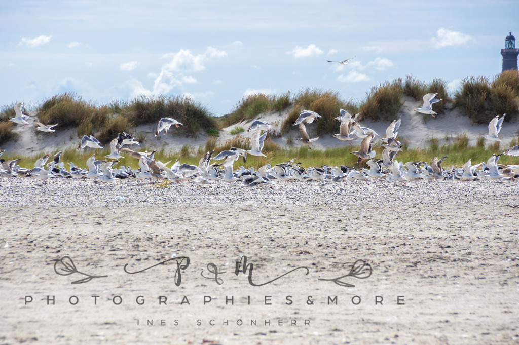 _Grenen22-1817 | Photographies and more - Realisiert mit Pictrs.com