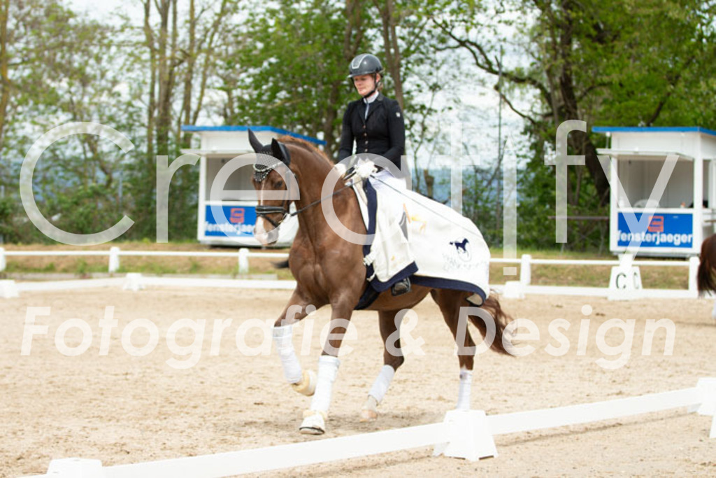 IMG_2915 | Creatify Fotografie