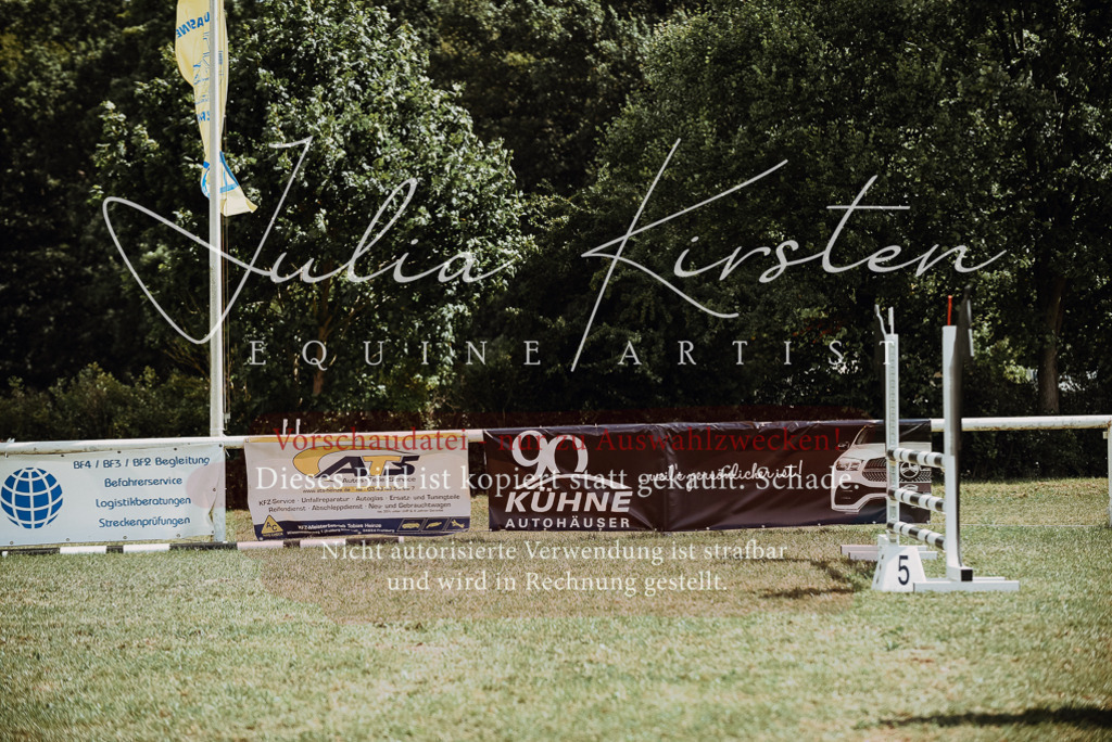 DSC_6406 | Pferde- und Turnierfotografie in Westsachsen. Pferdeportraits, Auftragszeichnungen und intuitive Kunst.