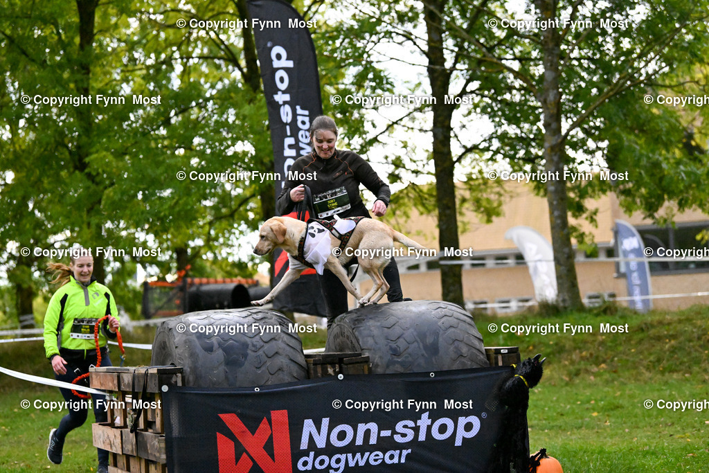 DSC_4106 | Hallo und herzlich Willkommen auf meiner Shop-Seite Fynn Most.

Ich wünsche Dir viel Spaß beim stöbern durch die Bilder, wenn Du Fragen hast oder Bilder vermisst, kannst du mir gerne eine Nachricht schreiben. - Realisiert mit Pictrs.com