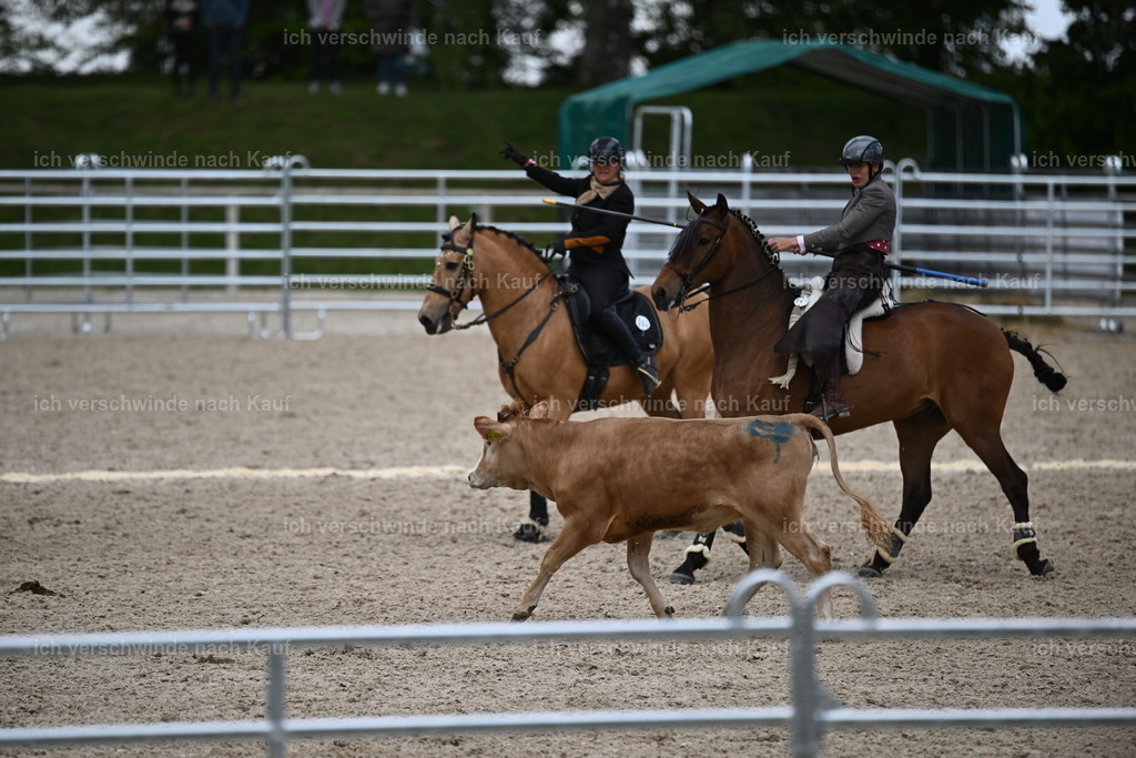 PI26_COW_Sara Landvogt226_7454.JPG | working equitationturnier fotograf videograf stoibphotography marixx film working equitation deutschland reitsport turnierfotografie eventfotografie equestrian events