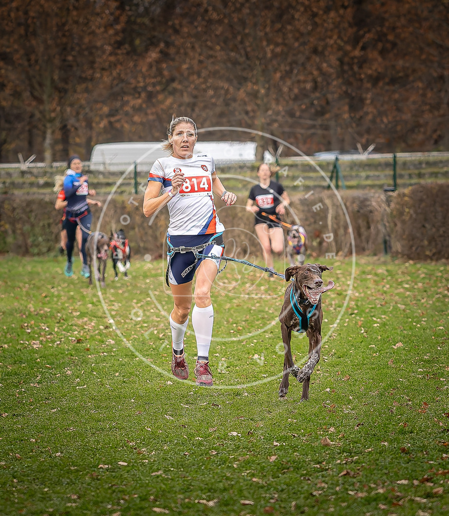 CaniXpix_DV3A6282 | Hundefotografie, Tierfotograf, Pfotenfotografie, Fotoshooting Hund, Hunde Portrait, Hundesport, Hundeportraits, Heideshooting, Hunde, Sportfotograf, Hundefotograf, Turnierhundsport, THS,  - Realisiert mit Pictrs.com