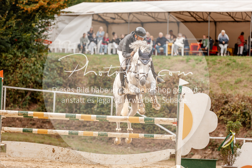 3I6A8224 | Stimmungsvolle Portraits und Reitsportfotografie im Ruhrgebiet und im Münsterland.

Pferdefotografie, Hundefotografie, Tierfotografie, Reportagen, Portraits von Tier und Mensch, Turnierfotografie in Bochum, Recklinghausen, Marl, Haltern am See, Dülmen.. - Realisiert mit Pictrs.com