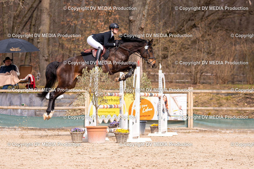 Kranichstein Tag 2-2032 | dv-media-shop - Realisiert mit Pictrs.com